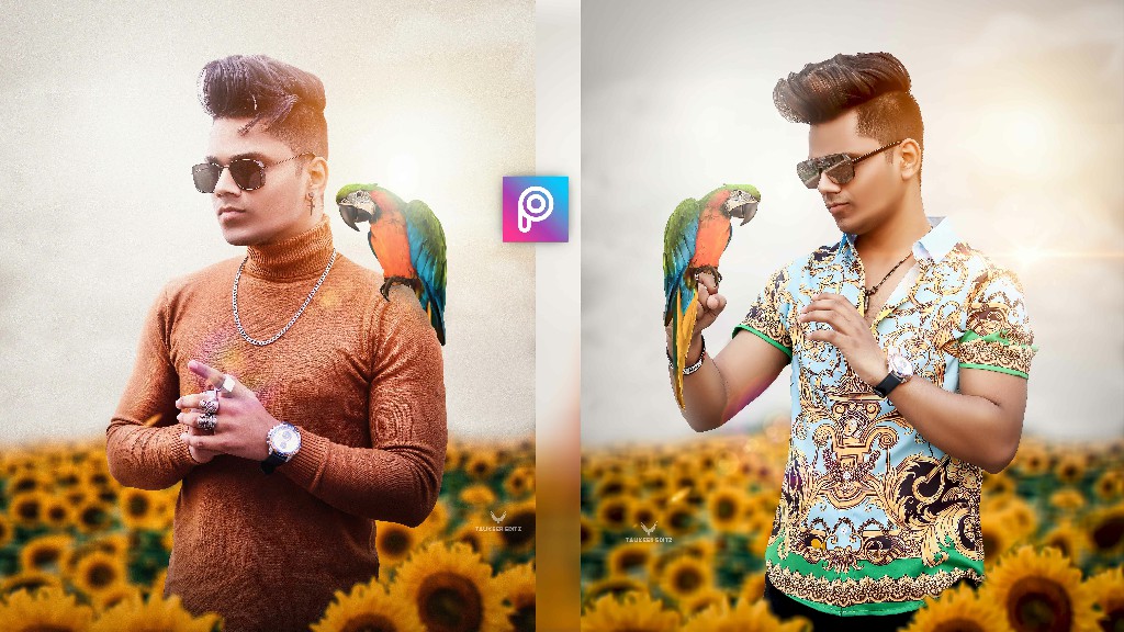 Sun-Flower-Thumbnail