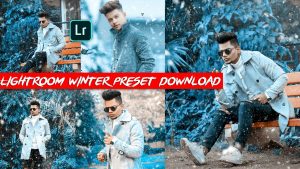 lightroom-winter-preset-download