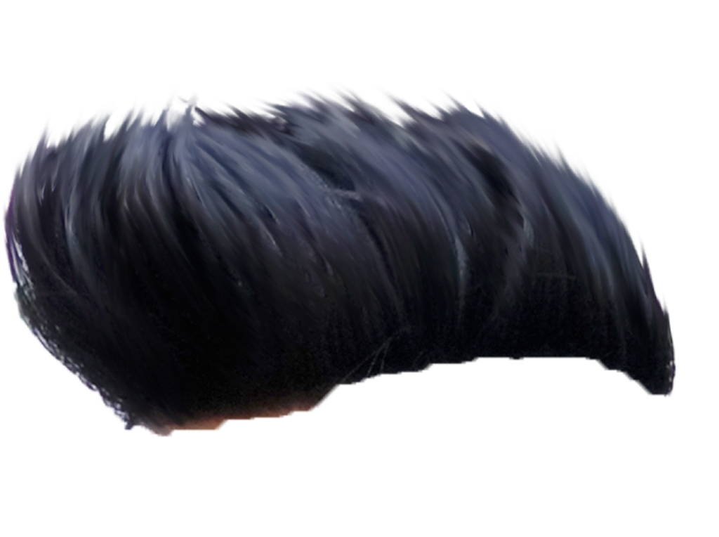 hair png