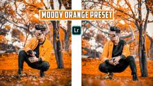 moody-orange-thumbb