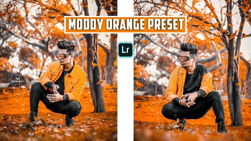 moody-orange-thumbb
