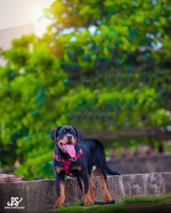 Cb background by taukeer editz (11)