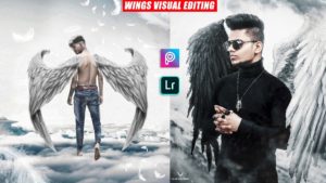 Wings-concept-editing