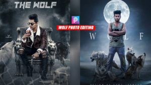 wolf-editing