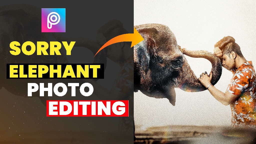 sorry-elephant-editing