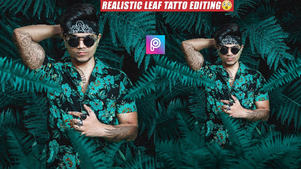 Leaf-Photo-editing