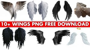 Wings-png-download