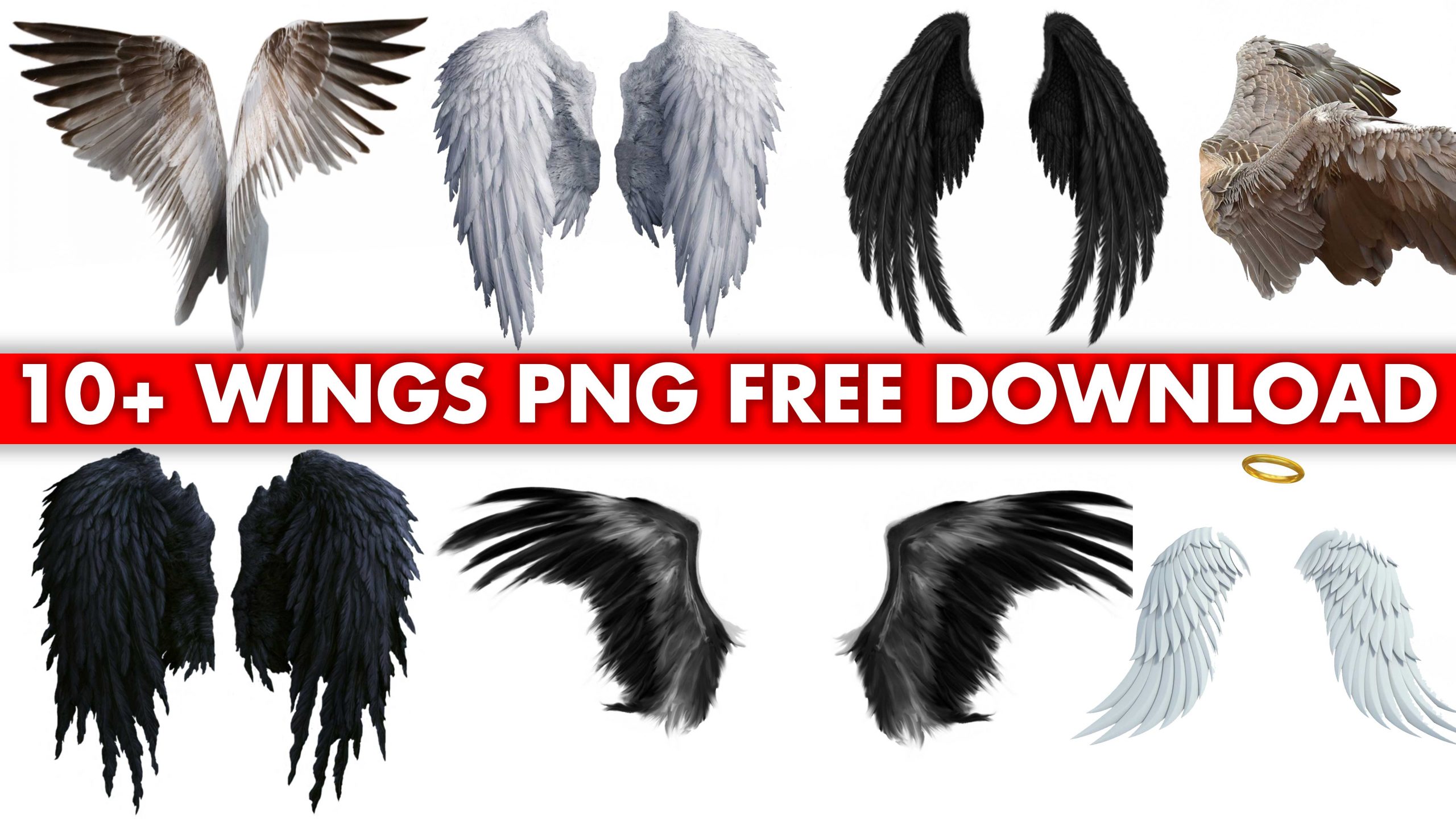 Wings-png-download