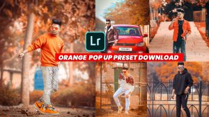 yellow-toneFDSFDSFDSF