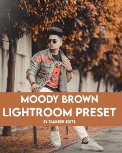 Moody-Brown-Lightroom-preset-by-Taukeer-Editz