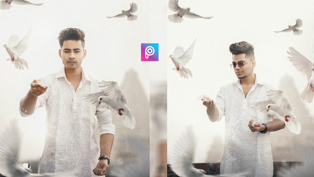 Birds-editing-Thumbndail