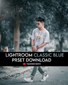 Lightroom-Classic-Blue-preset-by-Taukeer-Editz
