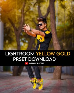 Lightroom-Yellow-Gold-Preset-Download-Taukeer-Editz