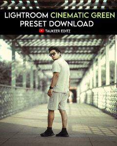 Lightroom-Cinematic-Green-tone-preset-by-Taukeer-Editzz