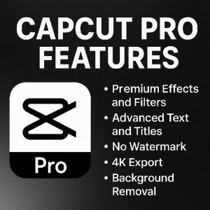 CapCut Pro Features Overview